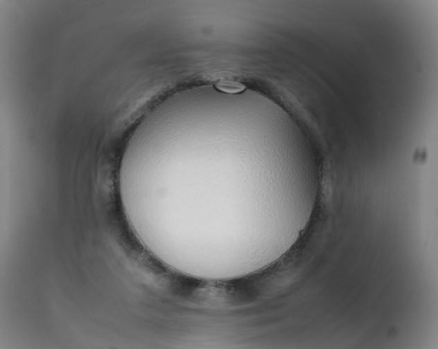 X0000111250211200907091431