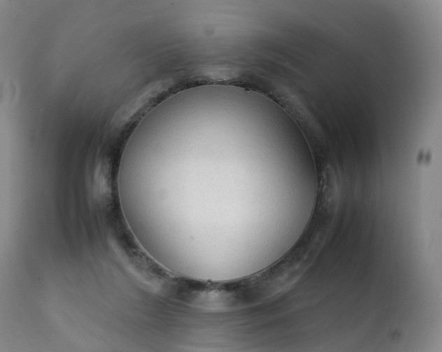 X0000111250212200907091431