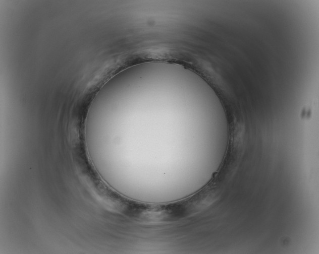 X0000111250213200907091431