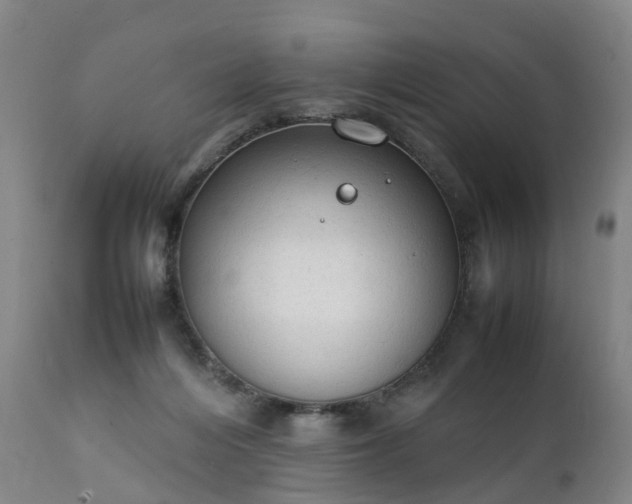 X0000111250216200907091431