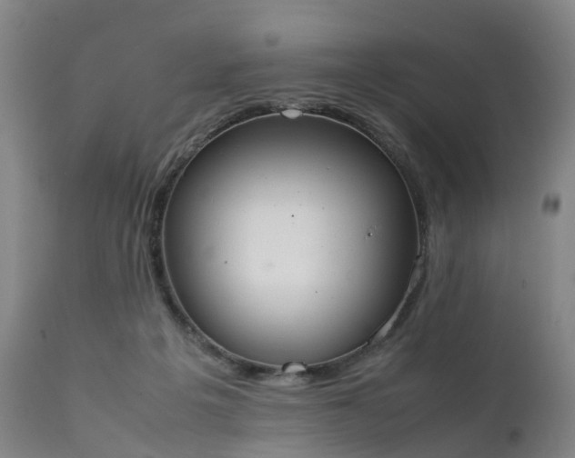 X0000111250217200907091431