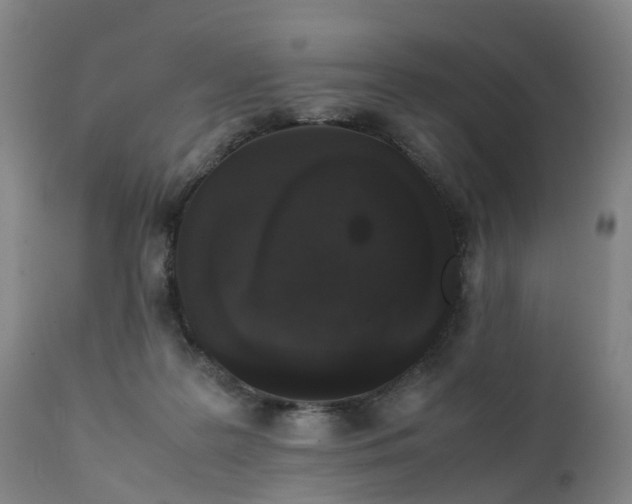 X0000111250219200907091431