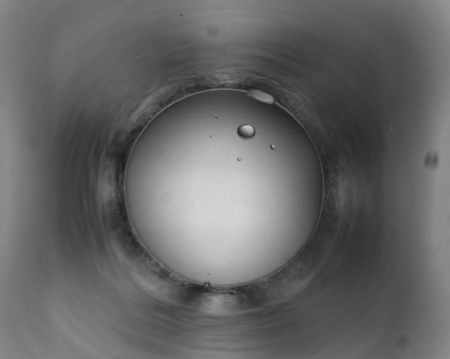 X0000111250220200907091431