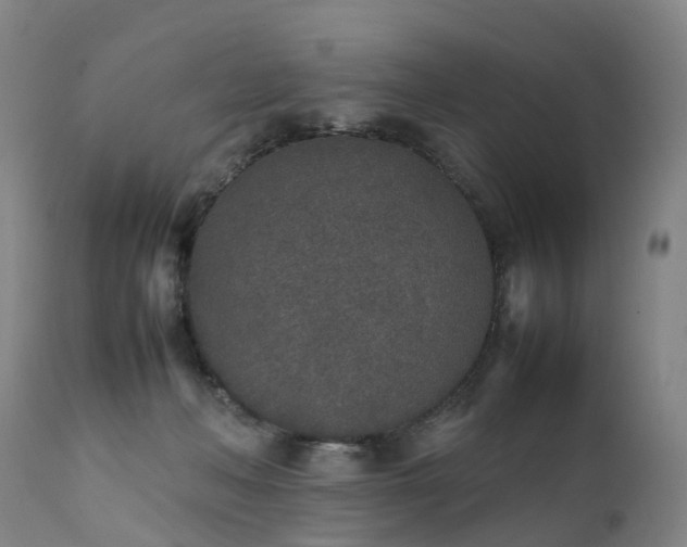 X0000111250222200907091431