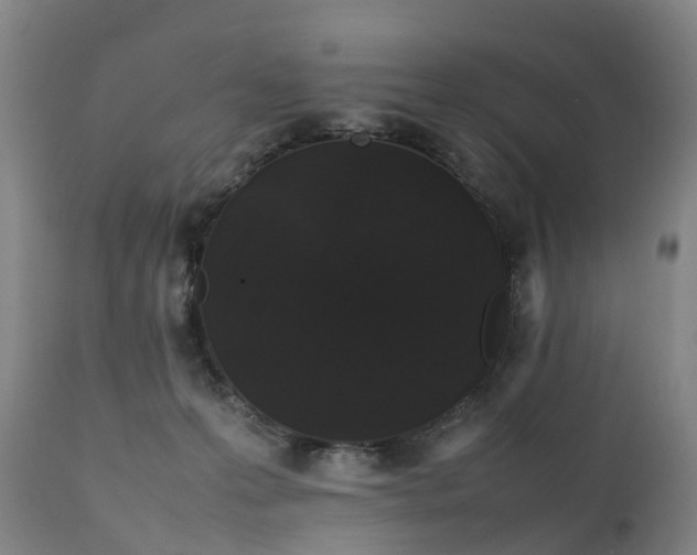 X0000111250223200907091431