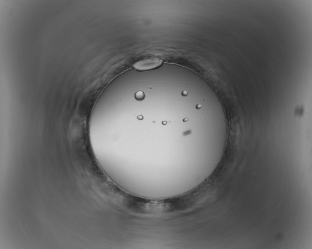 X0000111250225200907091431