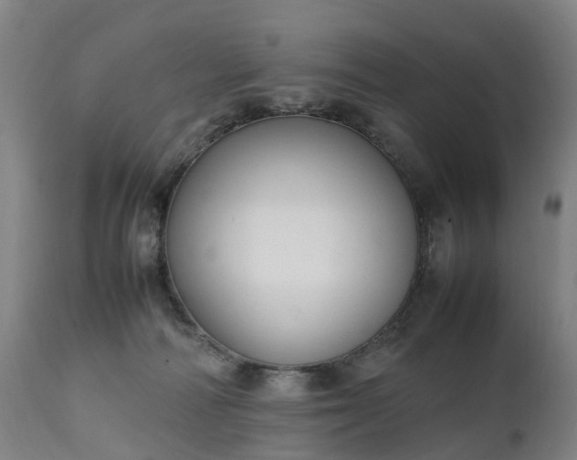 X0000111250226200907091431