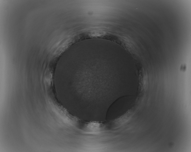 X0000111250227200907091431