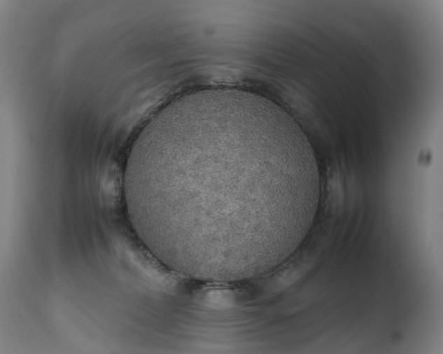 X0000111250228200907091431