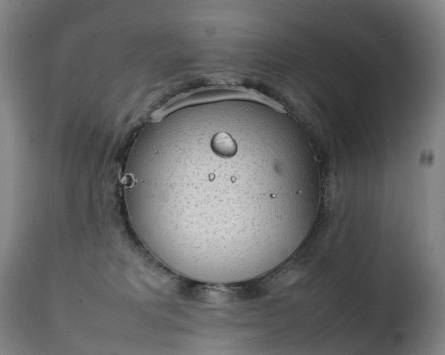 X0000111250229200907091431