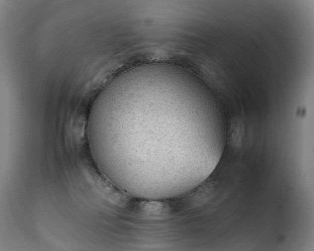 X0000111250230200907091431