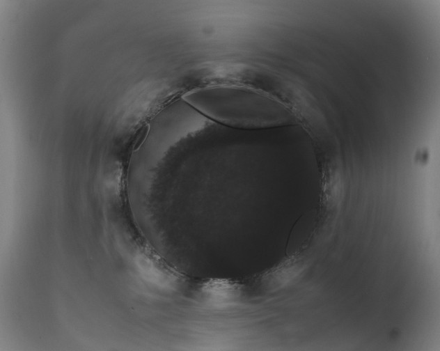 X0000111250231200907091431