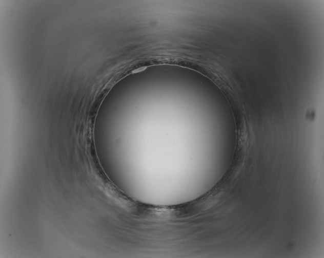 X0000111250233200907091431