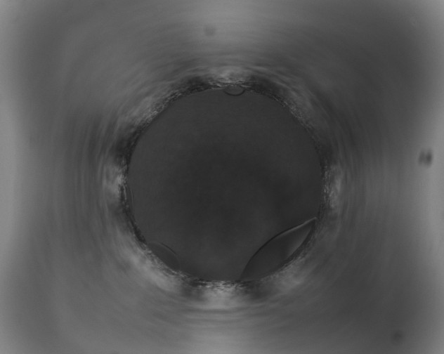 X0000111250235200907091431