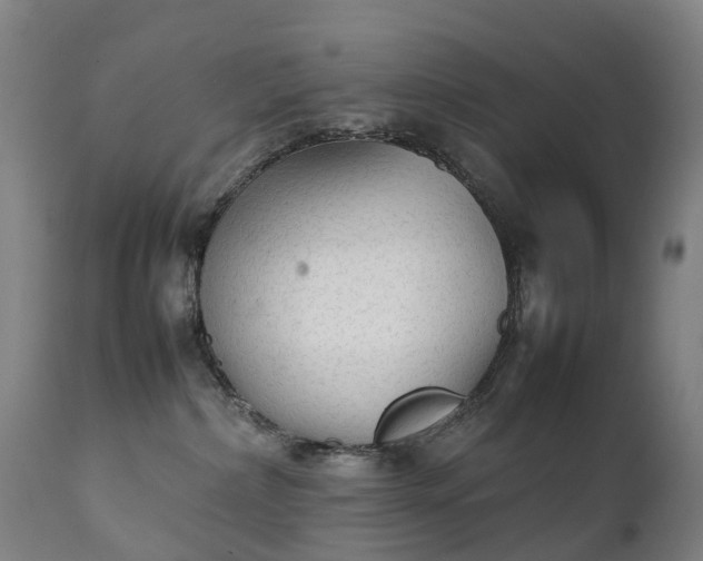 X0000111250236200907091431