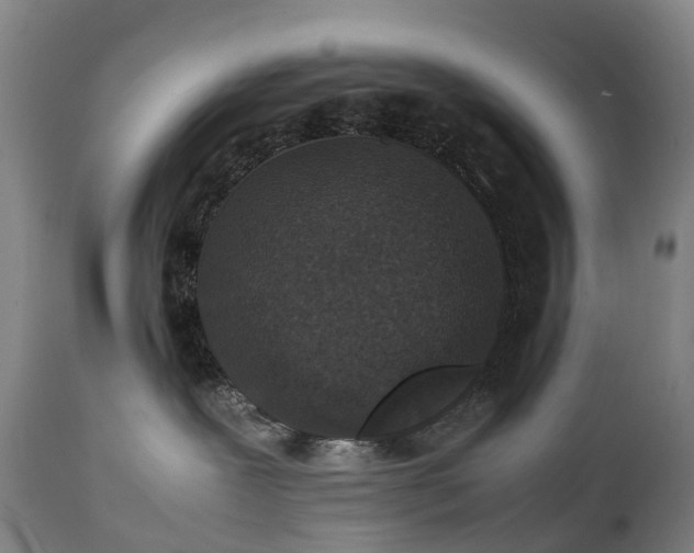 X0000111250239200907091431