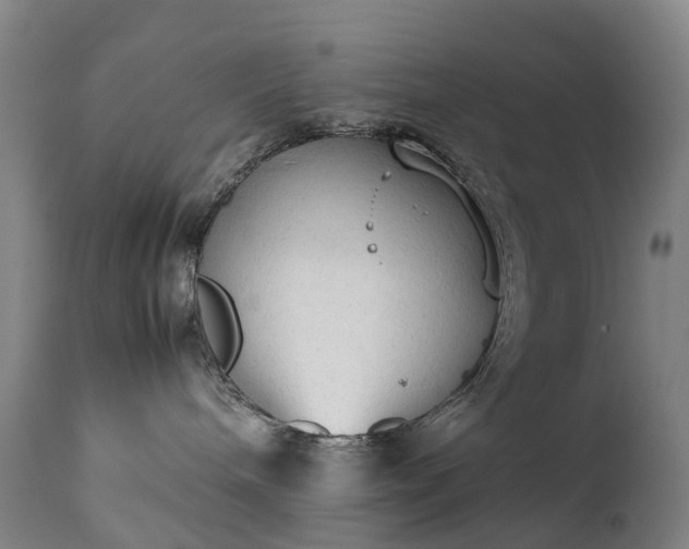 X0000111250240200907091431