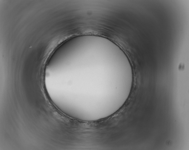 X0000111250241200907091430