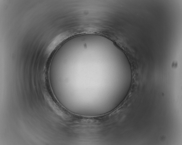 X0000111250242200907091430