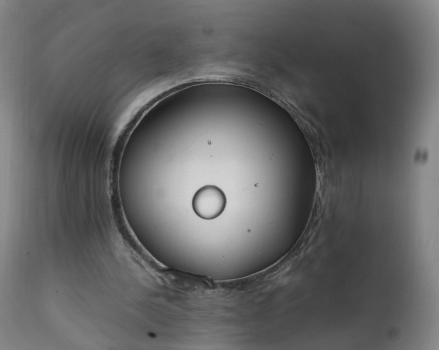 X0000111250244200907091430