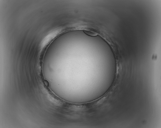 X0000111250245200907091430