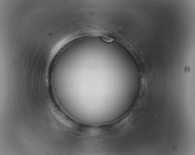 X0000111250246200907091430