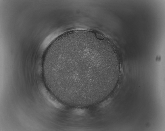 X0000111250247200907091430