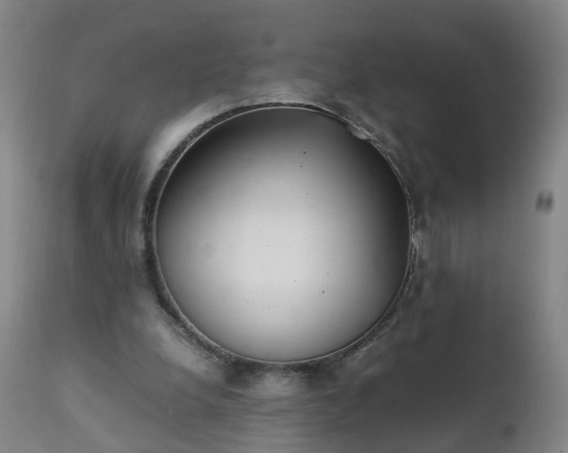 X0000111250248200907091430