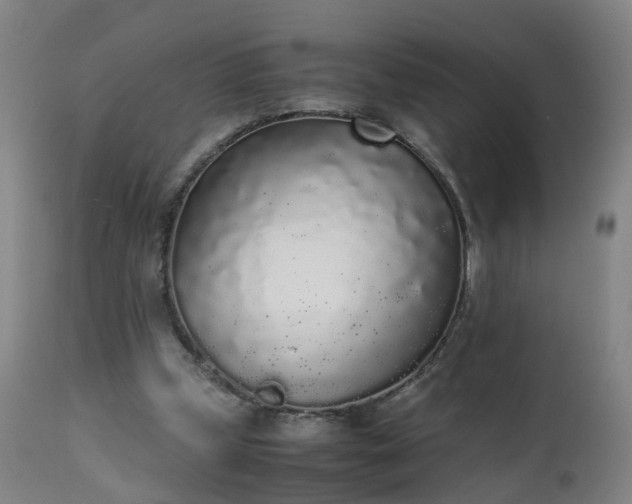 X0000111250249200907091430