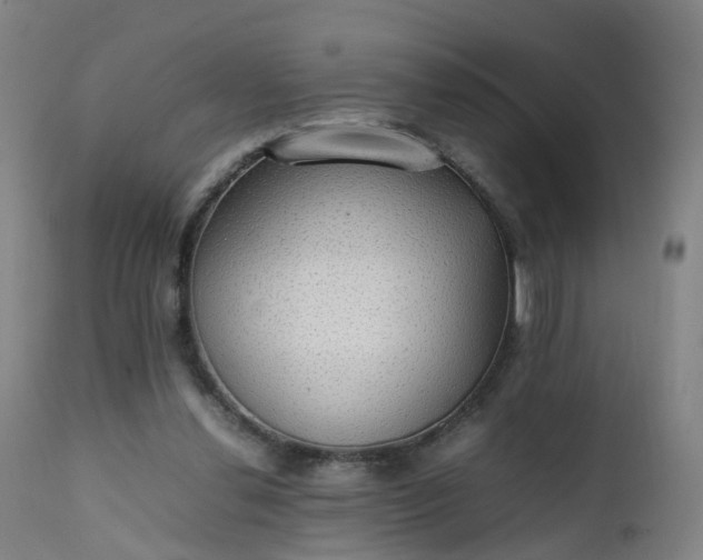 X0000111250252200907091430