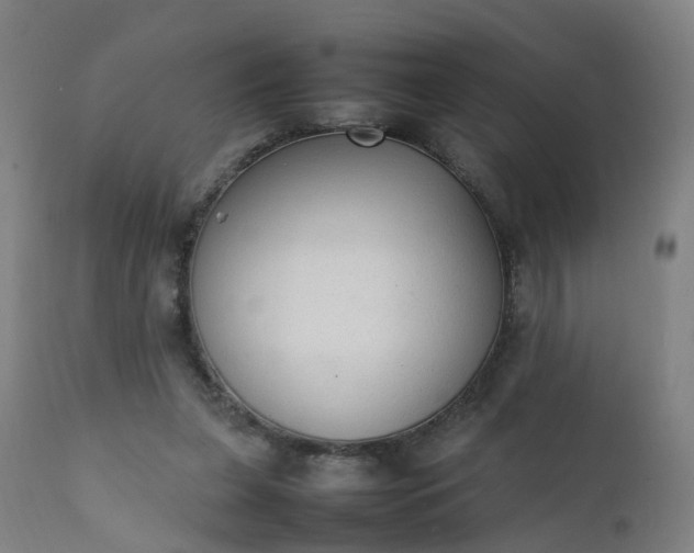 X0000111250255200907091430