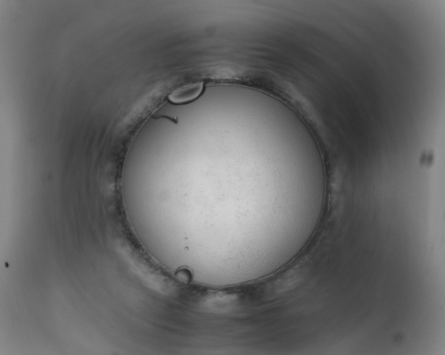 X0000111250257200907091430