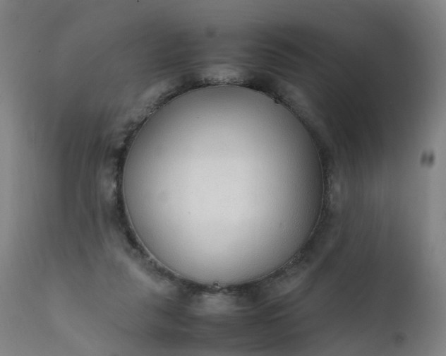 X0000111250259200907091430