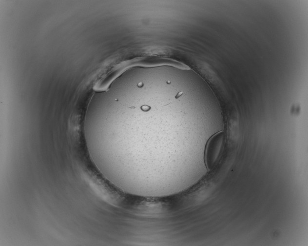 X0000111250260200907091430