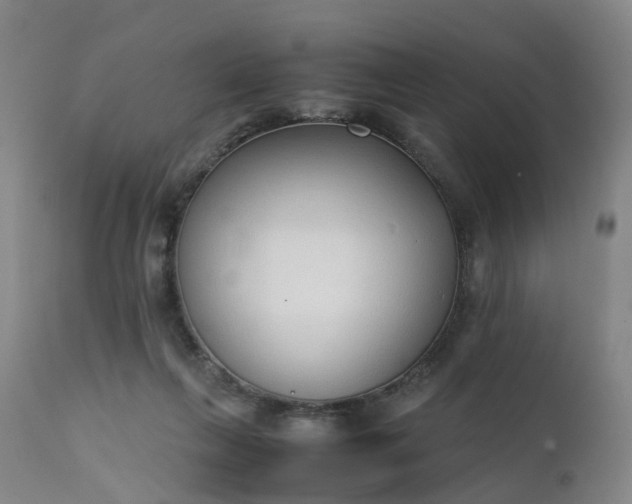 X0000111250263200907091430