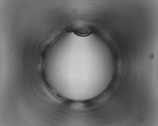 X0000111250266200907091430