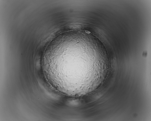 X0000111250267200907091430