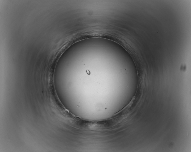 X0000111250268200907091430