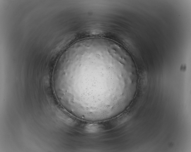 X0000111250269200907091430