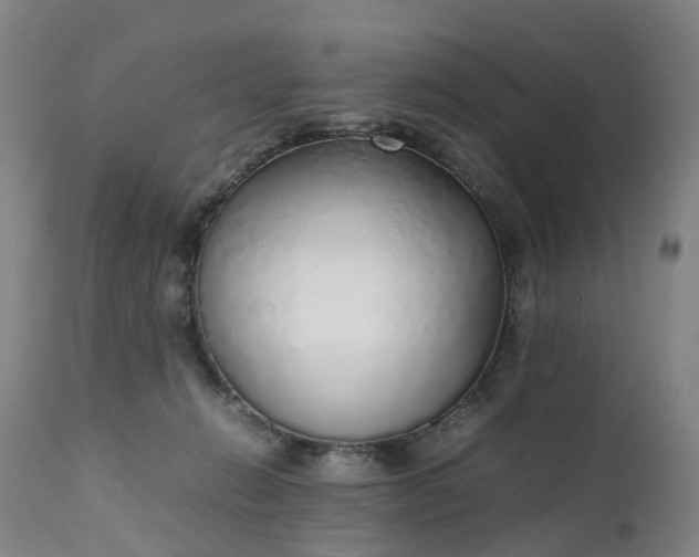 X0000111250270200907091430