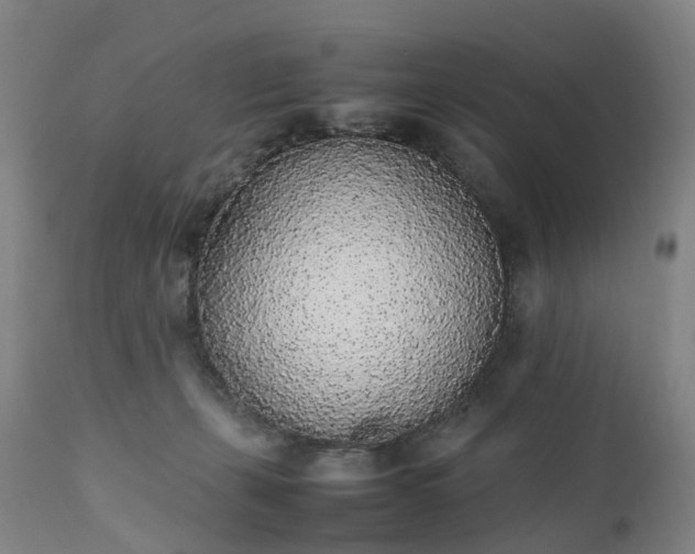 X0000111250271200907091430