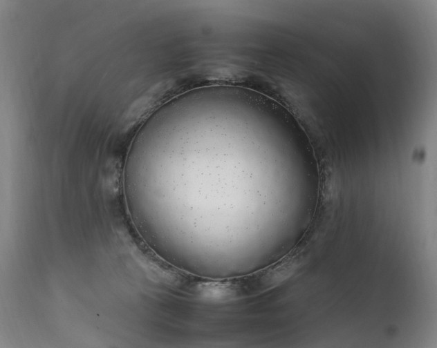 X0000111250273200907091430