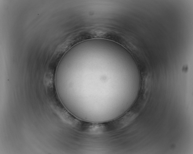 X0000111250274200907091430