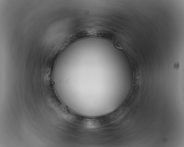 X0000111250275200907091430