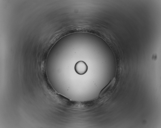 X0000111250276200907091430