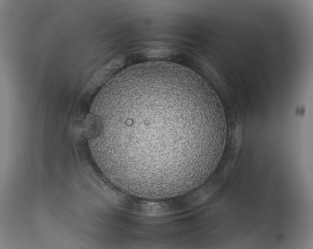 X0000111250277200907091431