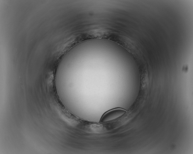 X0000111250279200907091431