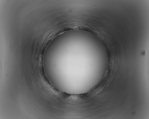 X0000111250280200907091431