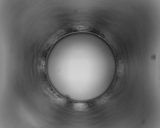 X0000111250281200907091431