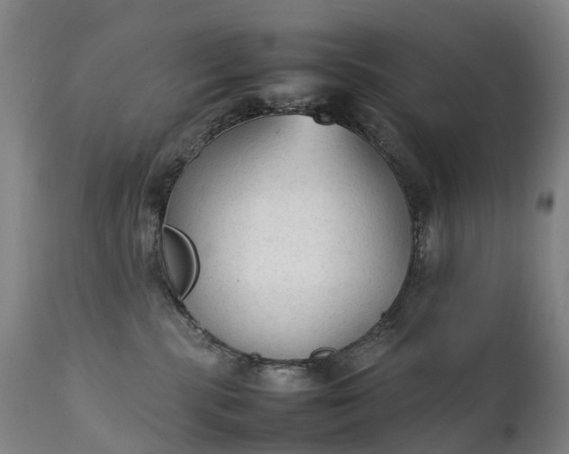 X0000111250283200907091431